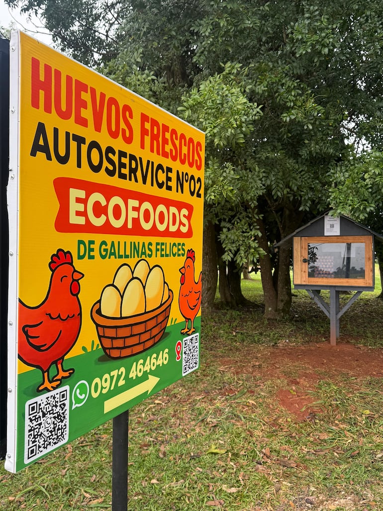 vdb El letrero que indica el autoservicio de venta de huevos en J. Eulogio Estigarribia.