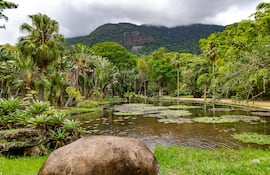 Jardín Botánico de Río de Janeiro, Brasil.