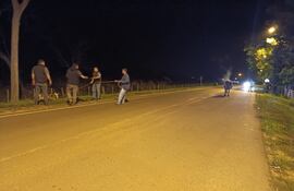 Tras accidente fatal, Municipalidad de San Pedro inicia decomiso de animales sueltos en ruta