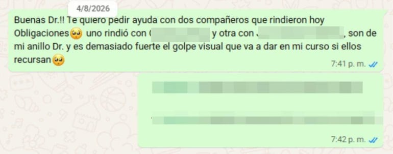 Uno de los chats filtrados y atribuidos supuestamente a Alejandro Ovelar.
