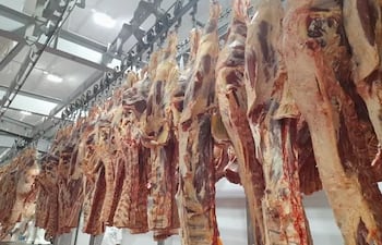 Exportación de carne