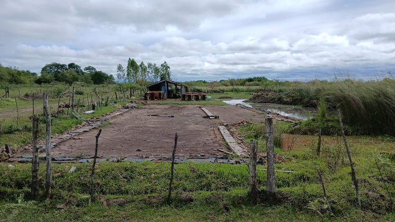 Paisaje rural afectado por inundación, con vegetación alta y estructuras de ladrillo sumergidas.