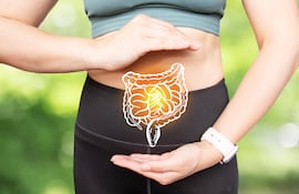 Concepto de sistema digestivo en calma.