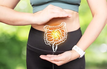 Concepto de sistema digestivo en calma.