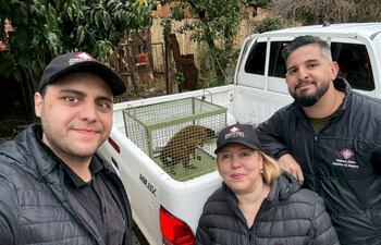 Agentes fiscales rescataron a un mono en Cambyreta.