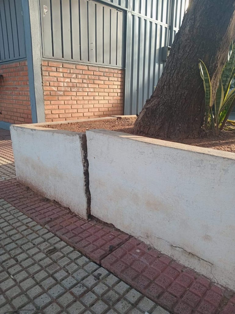 Grieta en borde de cemento, pared de ladrillo rojo y árbol a la derecha en espacio urbano.