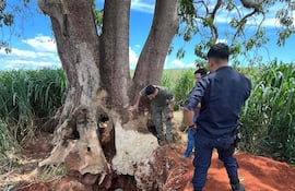 Una de las fosas encontradas en una zona de reserva natural en Yrybucuá, San Pedro.
