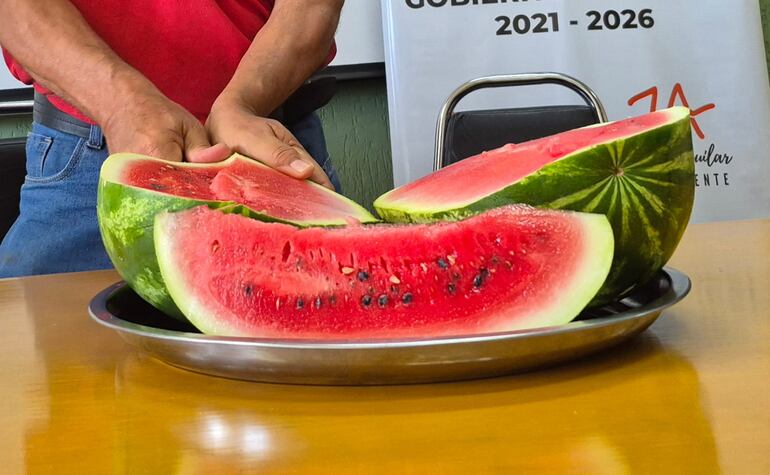 Fiesta Nacional de la Sandía: celebrarán otra exitosa cosecha de la fruta más codiciada del verano en Paso Güembé