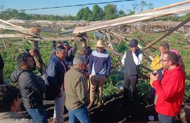 Grupo de personas en invernadero, incluido un hombre con sombrero de paja y otro con chaqueta roja, conversando sobre la producción agrícola.