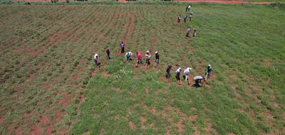 Campesinos de San Pedro reafirman invasión de tierras de Senabico desde el 5 de diciembre