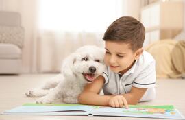 Convivencia entre niños y perros, imagen ilustrativa.