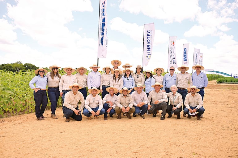 Confirman para el 2027 comercialización de soja tolerante a sequía