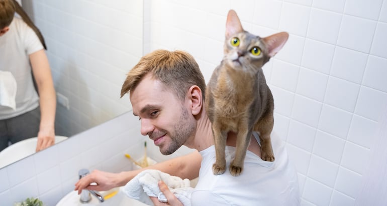 Gato en el baño.