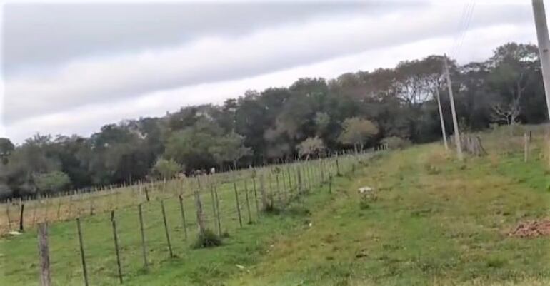 En esta zona boscosa se internaron los asaltantes que se enfrentan a tiros con la policía.