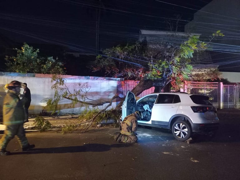 Dos rescatistas: uno arrodillado junto a un SUV blanco dañado, el otro de pie conversando con un policía. Árbol caído en el fondo.