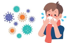 El resfriado común y la influenza o gripe