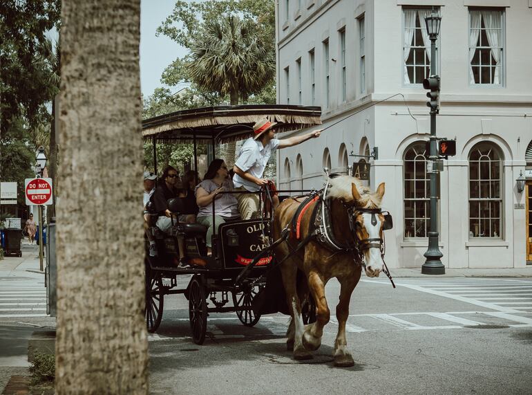 Carruaje tirado por caballos recorriendo las calles del centro histórico Charleston, Carolina del Sur.