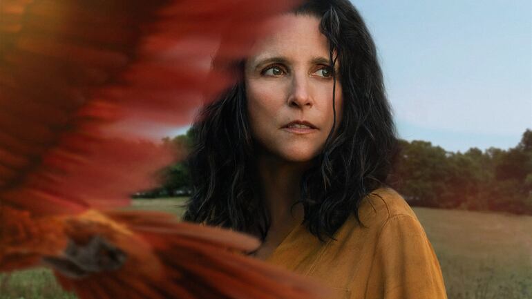 Tuesday película Julia Louis-Dreyfus