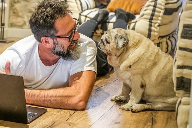 Charlas con la mascota, imagen ilustrativa.