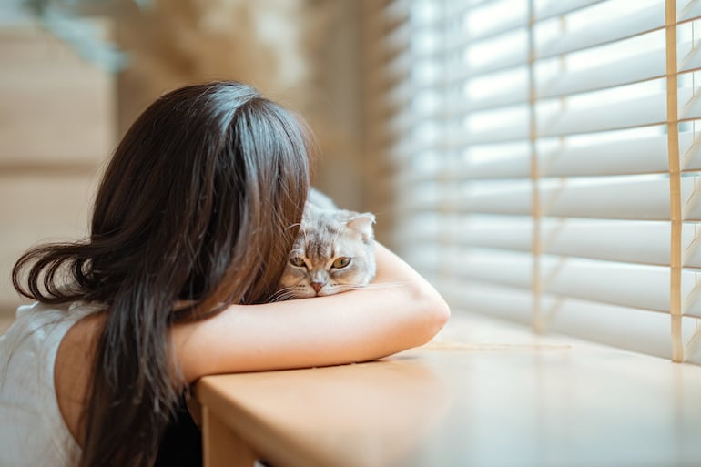 Gato con su humana triste, imagen ilustrativa.
