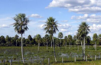 /pf/resources/images/abc-placeholder.png?d=2394