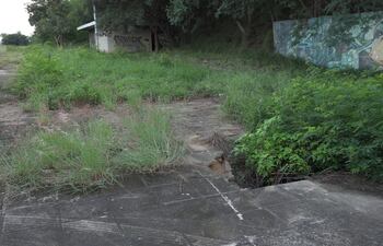 En total estado de abandono se encuentra el Parque de la Solidaridad.