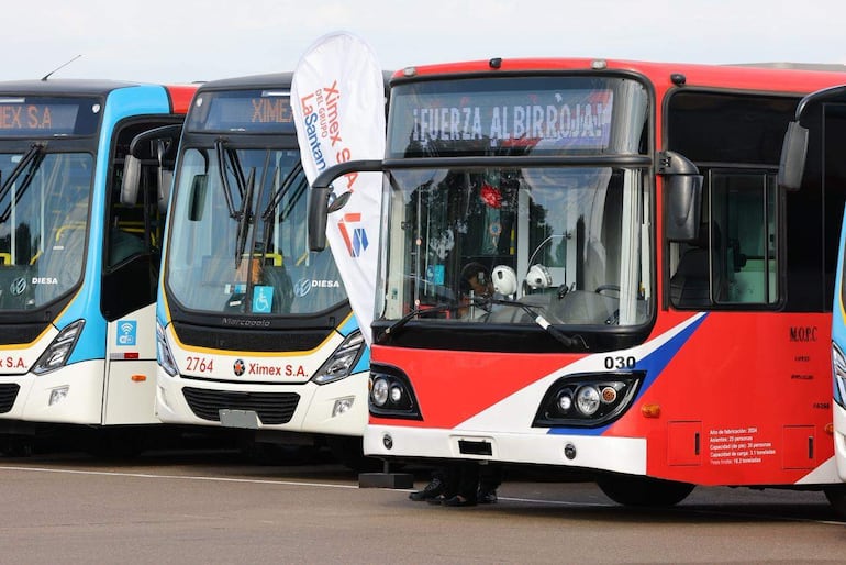 Autobuses de Ximex S.A. en evento, un rojo adelante y dos blancos con detalles en azul y amarillo.