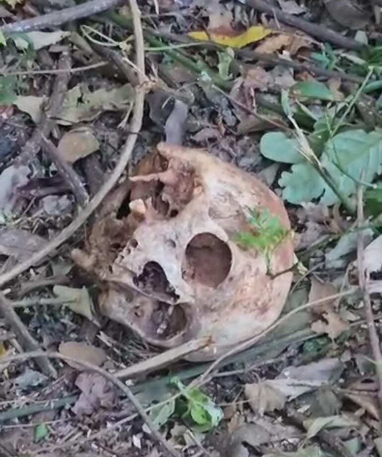 Hallan cráneo humano en Encarnación.