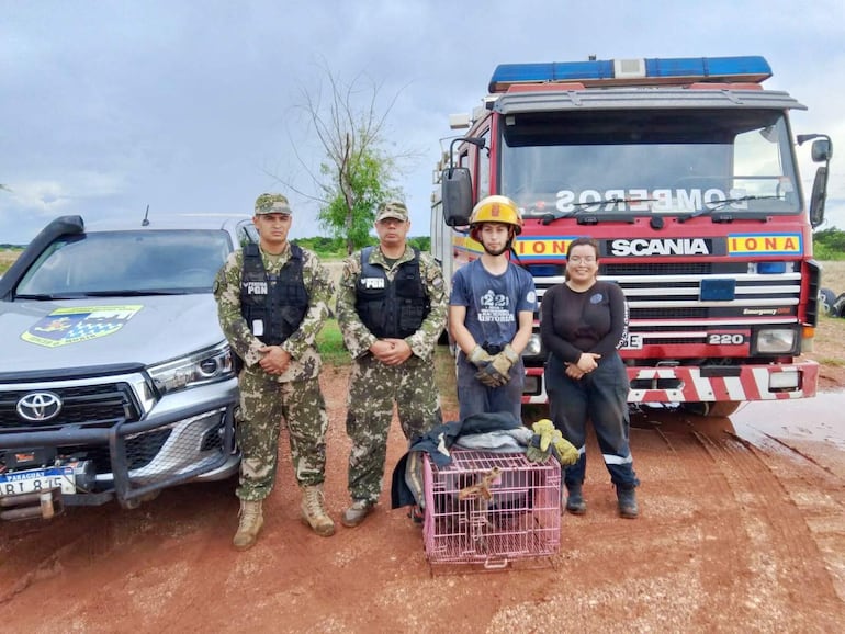 Efectivos de la Armada Nacional y los bomberos muestran la jaula donde está protegido en animal.