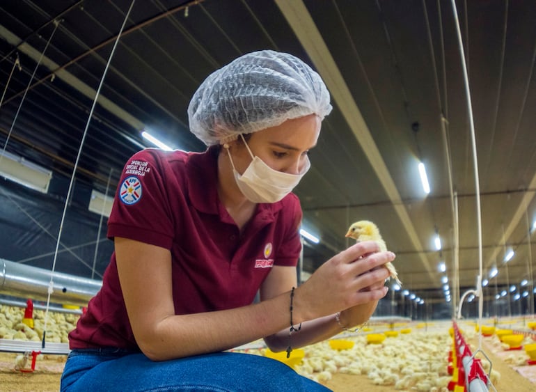 Practicidad y calidad ganan espacio entre las preferencias de consumo.