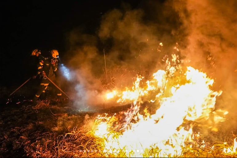 Un integrante de la Policía de Colombia intentando apagar un incendio forestal en una zona rural entre los municipios de San Luis y Gualanday del departamento del Tolima (Colombia). EFE/ @gobertolima