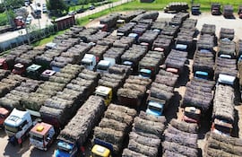 Unos 200 camiones y remolques se encuentran estacionados frente a la alcoholera.