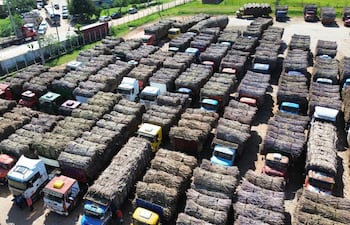 Unos 200 camiones y remolques se encuentran estacionados frente a la alcoholera.