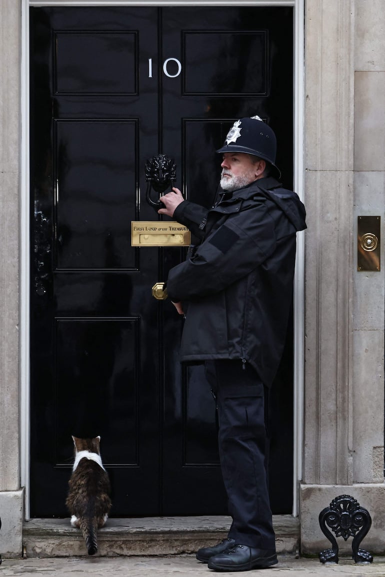“Larry”, el gato de Downing Street, espera en la puerta del número 10 de Downing Street, la residencia oficial del primer ministro británico, actualmente el líder del Partido Laborista, Keir Starmer, en el centro de Londres, el 9 de febrero de 2026.