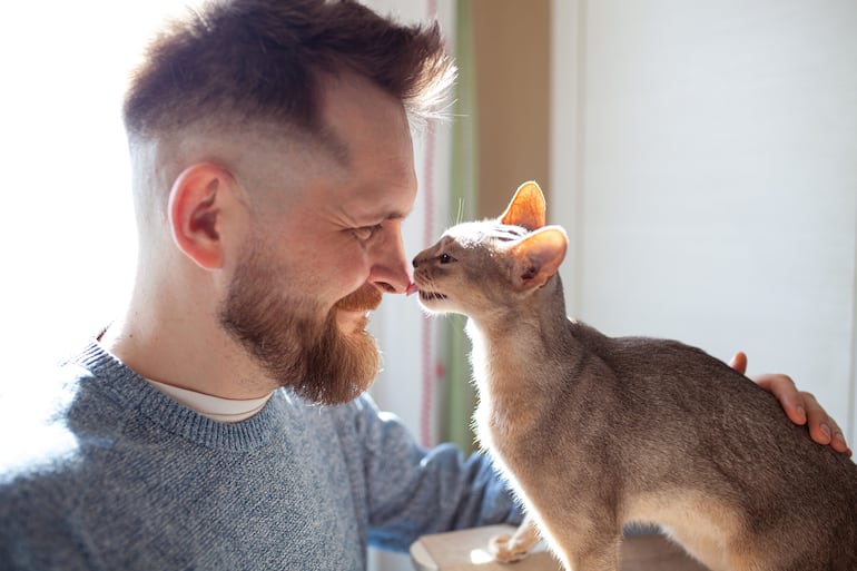 ¿Por qué mi gato me muerde el pelo o la cara?
