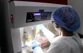 La mayoría de las mujeres científicas paraguayas categorizadas están dentro del área de Ciencias de la Salud, Química y Biología Animal.