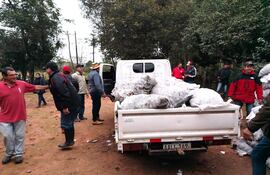 Tras protesta de productores reciben primera partida de semilla de papa en distritos de Paraguarí.