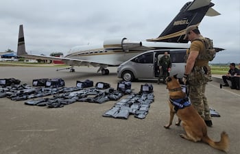 Un can antidrogas ante los ocho bolsones cargados con 261.6 kilos de marihuana premium, que fueron transportados en un jet ejecutivo proveniente de Estados Unidos.