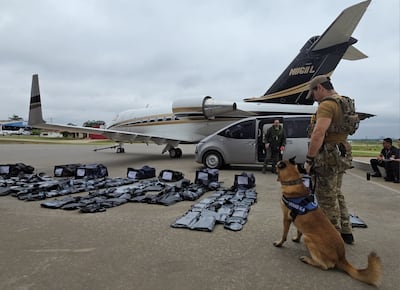 Un can antidrogas ante los ocho bolsones cargados con 261.6 kilos de marihuana premium, que fueron transportados en un jet ejecutivo proveniente de Estados Unidos.