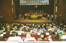 Constituyente de 1992