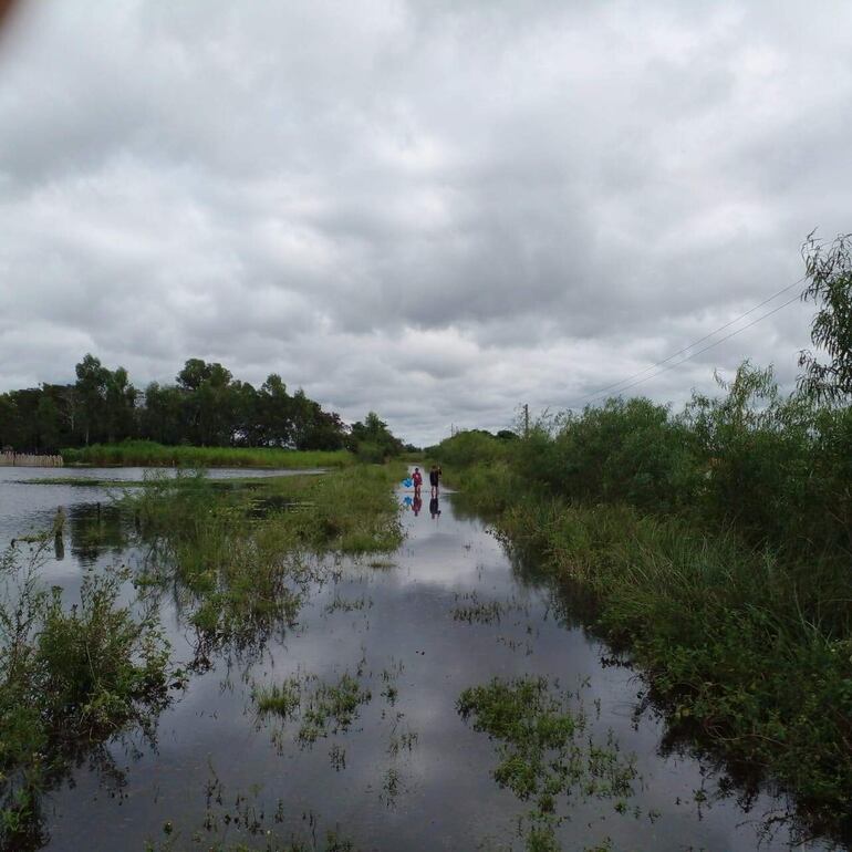 Los humedales y arroyos están desbordados luego de las copiosas lluvias en el Ñeembucú. Las aguas cubren cultivos, caminos, campos de pastoreo de animales, viviendas y otros.