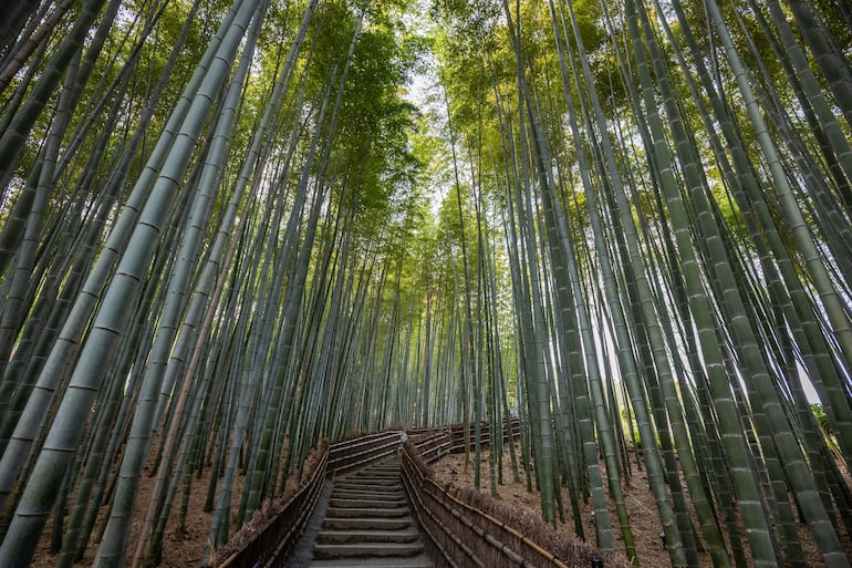 Arashiyama, Kioto, Japón.