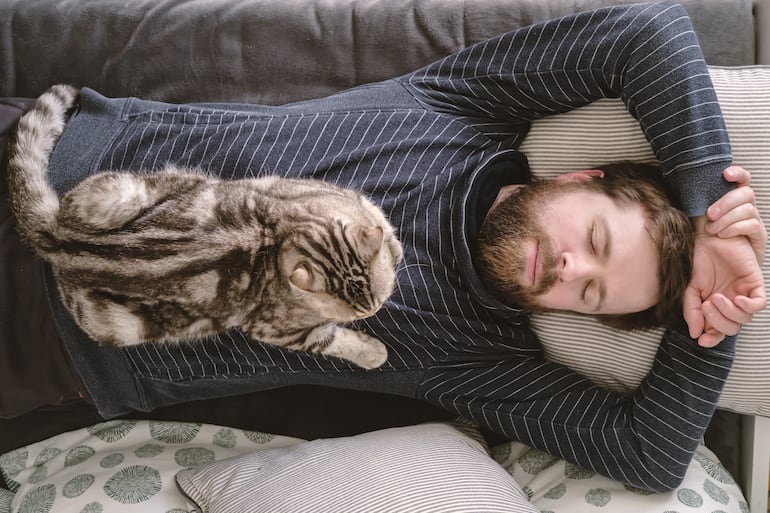 Gato sobre el pecho de su dueño.