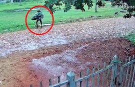 Captan en cámaras a mujer que robó un televisor con una niña en brazos en Limpio