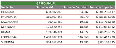 Planilla que maneja Asuntos Internos de la Policía, con la lista de algunos de los vehículos que mayor cantidad de combustible supuestamente recibieron durante el año 2020.