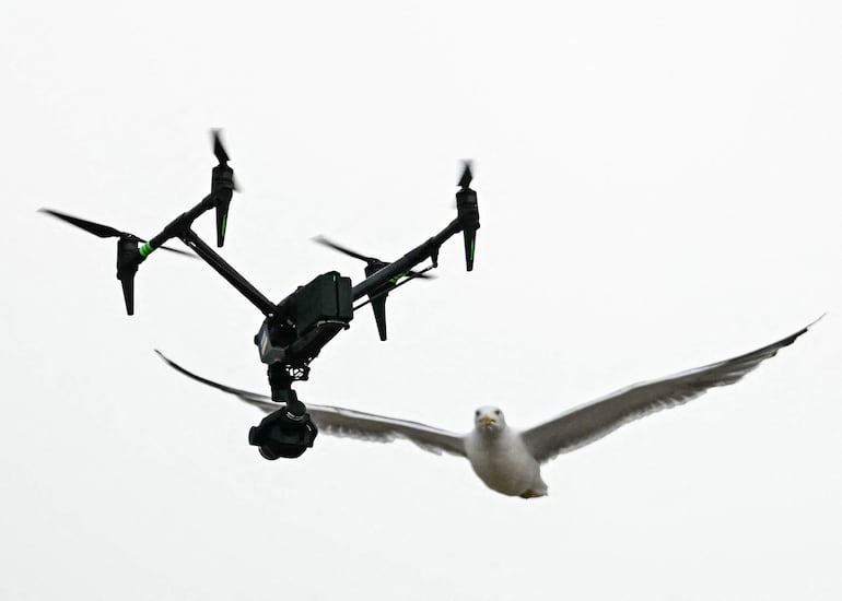 Una gaviota sobrevuela un dron de vídeo sobre la Plaza de San Pedro durante el segundo día del cónclave, en el Vaticano, el 8 de mayo de 2025.