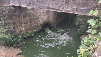 Agua verdoso  vertido por la Essap en el Arroyo Pindoty de esta ciudad.