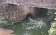 Agua verdoso vertido por la Essap en el Arroyo Pindoty de esta ciudad.