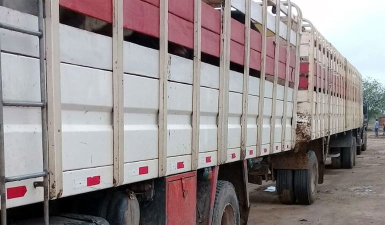 Asunción: Transganados ya no podrán circular por Tablada