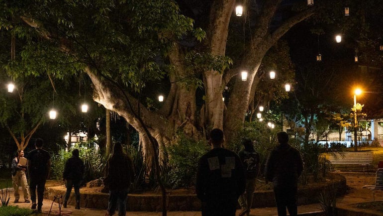 Seis personas en la Plaza San Bernardino, bajo un gran árbol, observan a una mujer que sostiene una carpeta y presenta algo al grupo.
